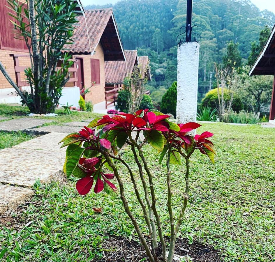 Chales Encantus Villa Monte Verde  Luaran gambar